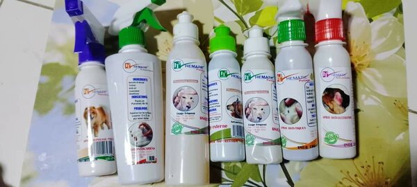 Spray antiparasite pour chiens