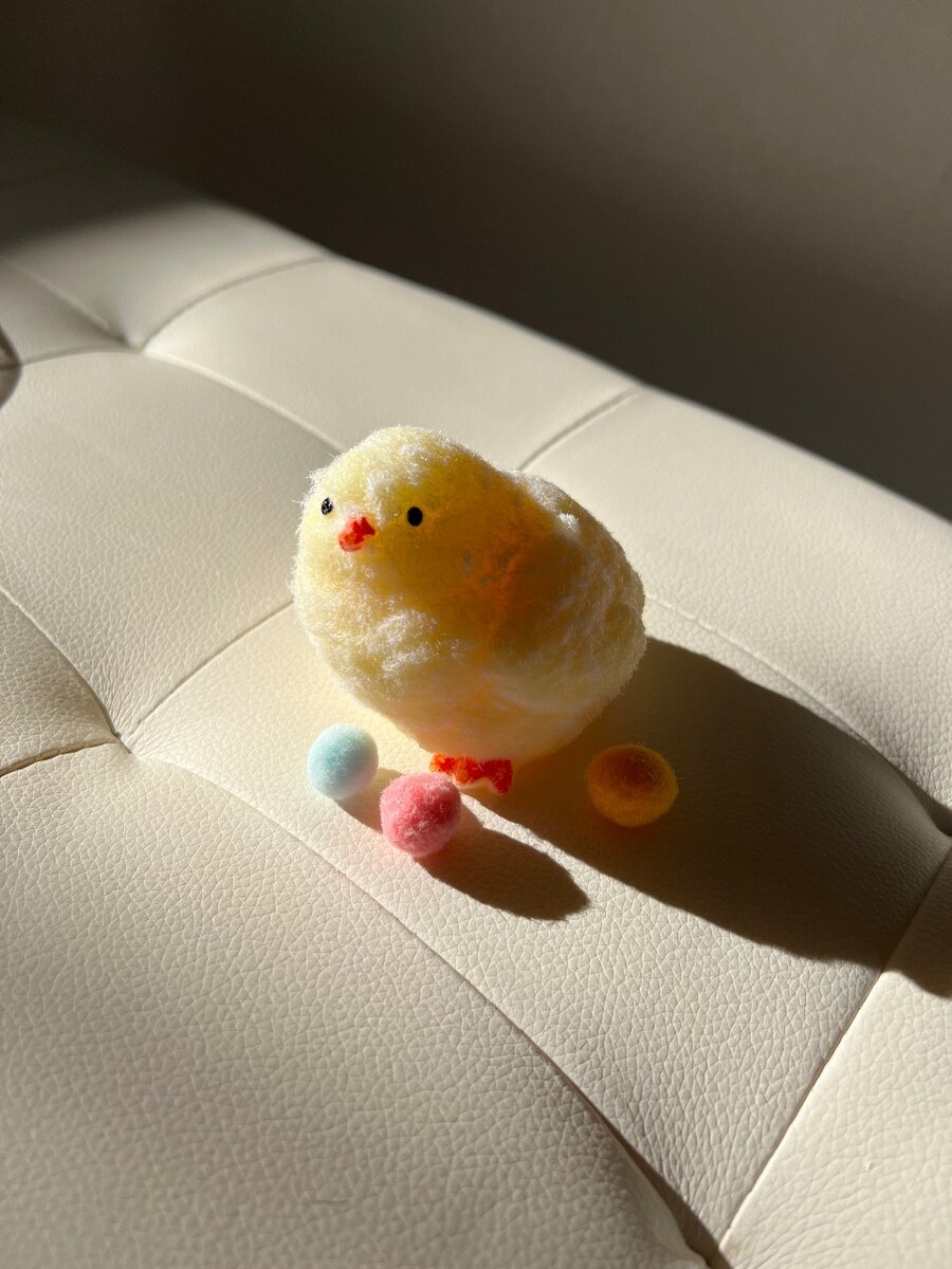 Цыпленок сквиш