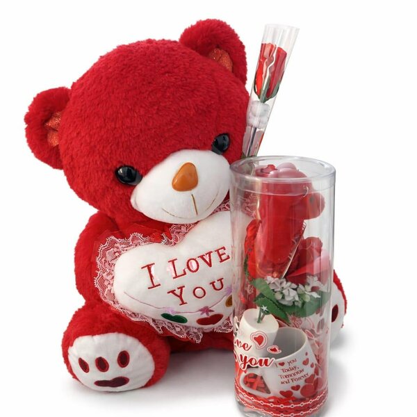 Ours en peluche rouge avec mug