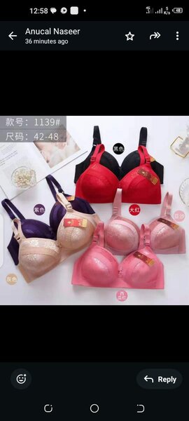 imported Ladies Undergarments