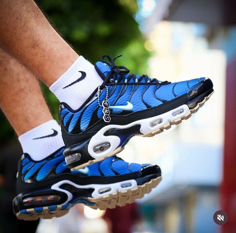 Nike air max plus