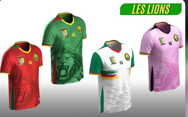 Maillot Les Lions Édition Spéciale