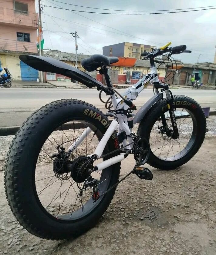 Vélo Fat Bike Tout-Terrain