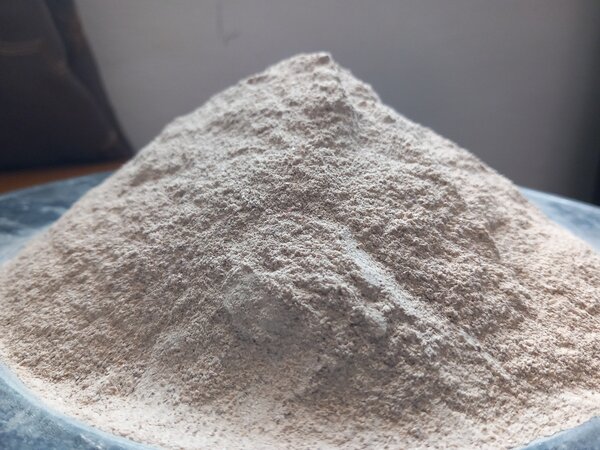 Poudre de la coquille d'escargot