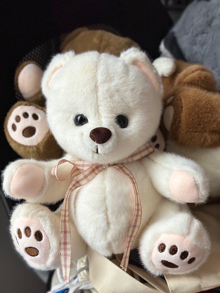 Мишка среднего размера