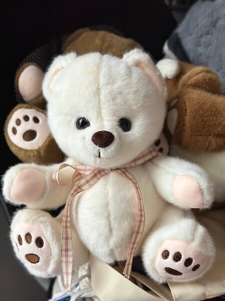 Мишка среднего размера