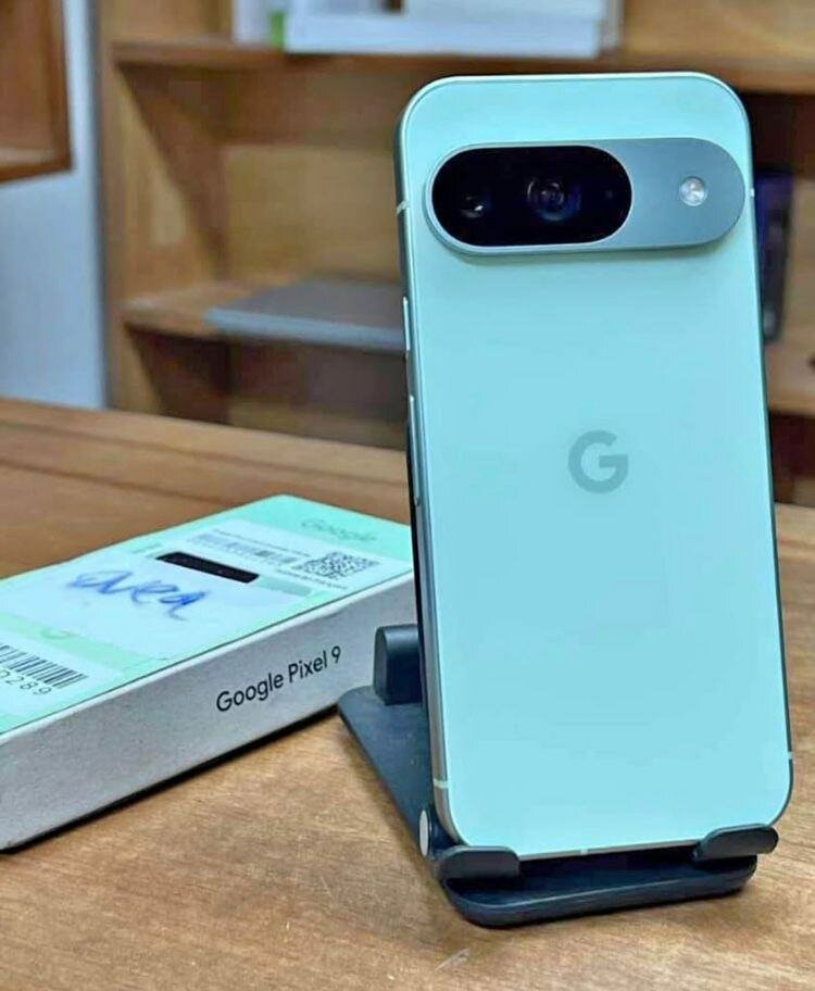 Google Pixel 9 Vert