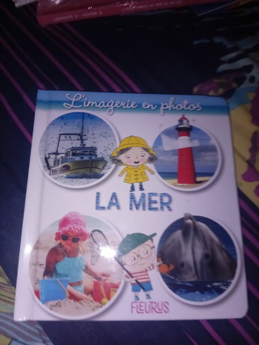 Livre illustré pour enfants - La Mer