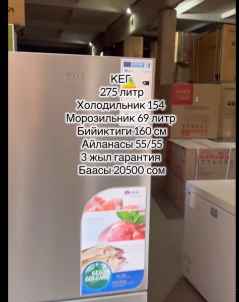 КЕГ фирмасынын холодильниктерге обзор