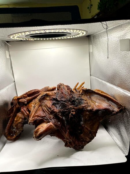 Pintade de brousse fumée