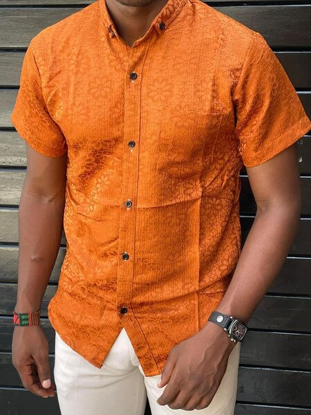 Shirt Sleeved T-shirts