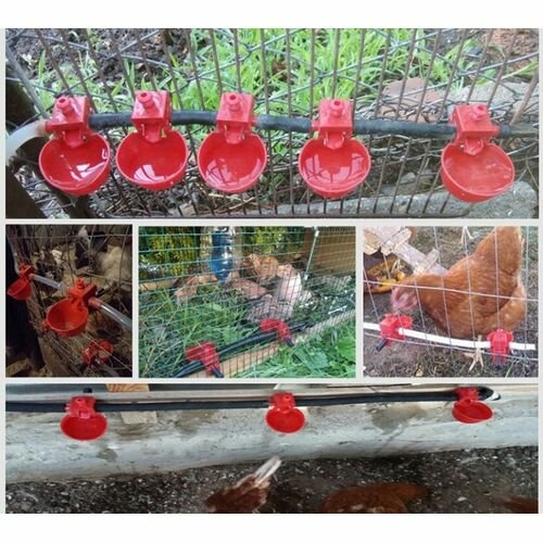 Lot De 10 Abreuvoirs Automatiques Pipette Bol D'eau Volaille (Poulet, Caille, Pintade, Canards Et Pigeon)