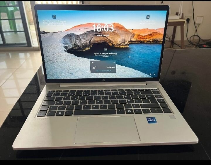 Ordinateur Portable HP EliteBook