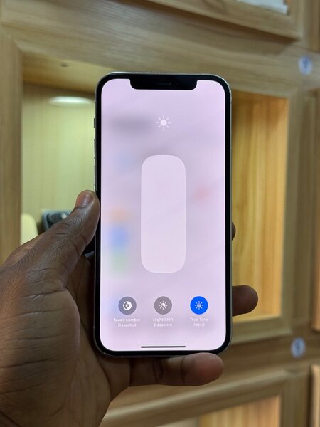 12 Pro 128Go Seconde Main