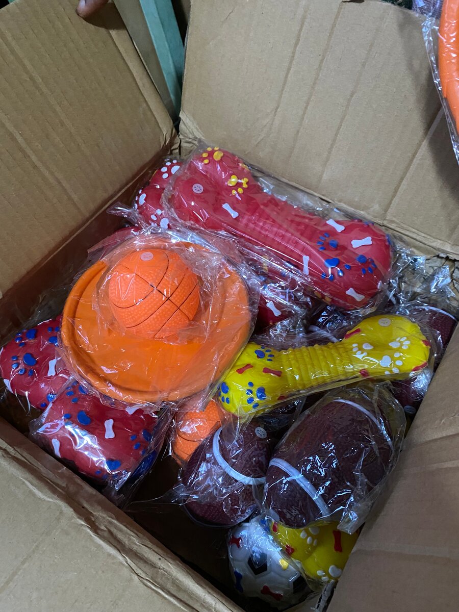 Jouet Masticable pour Chiens