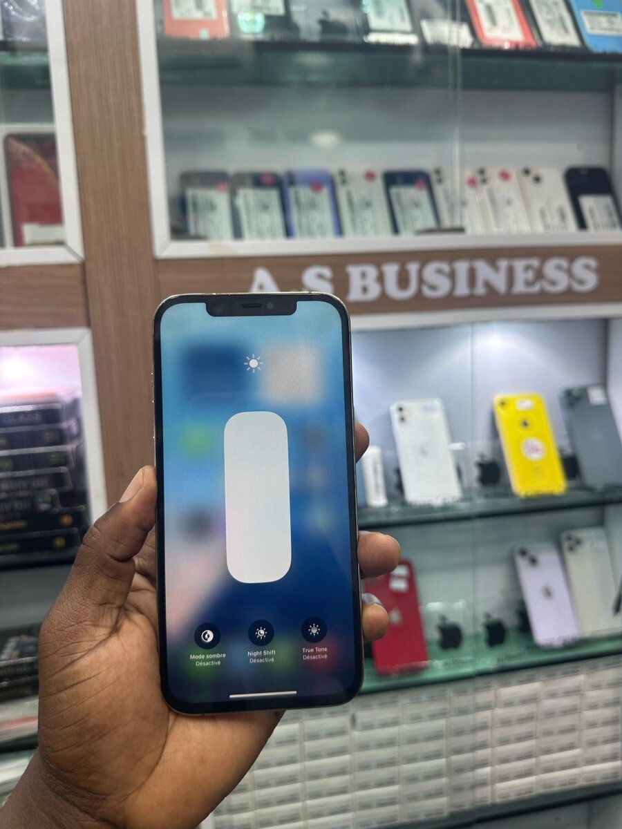 iPhone 12 Pro Max 512GB