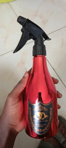 Vaporisateur d'eau 550ml