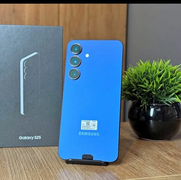 Samsung Galaxy S25 Bleu
