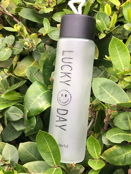 Gourdes cassables de 350ml