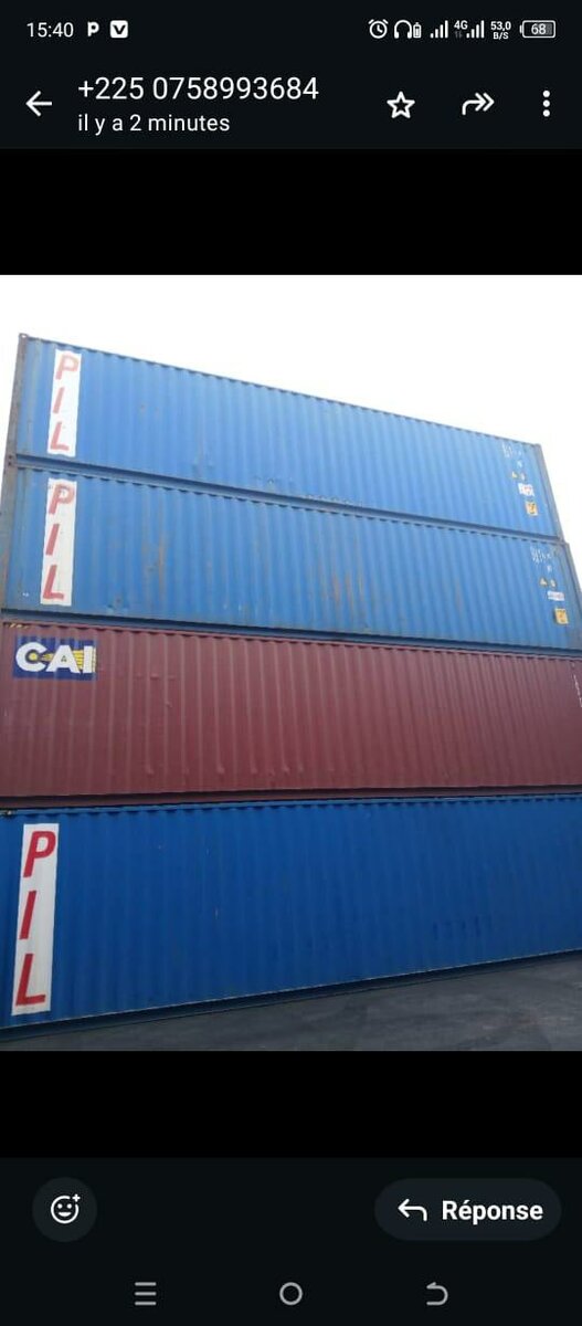 Conteneur d'expédition robuste 20 pieds