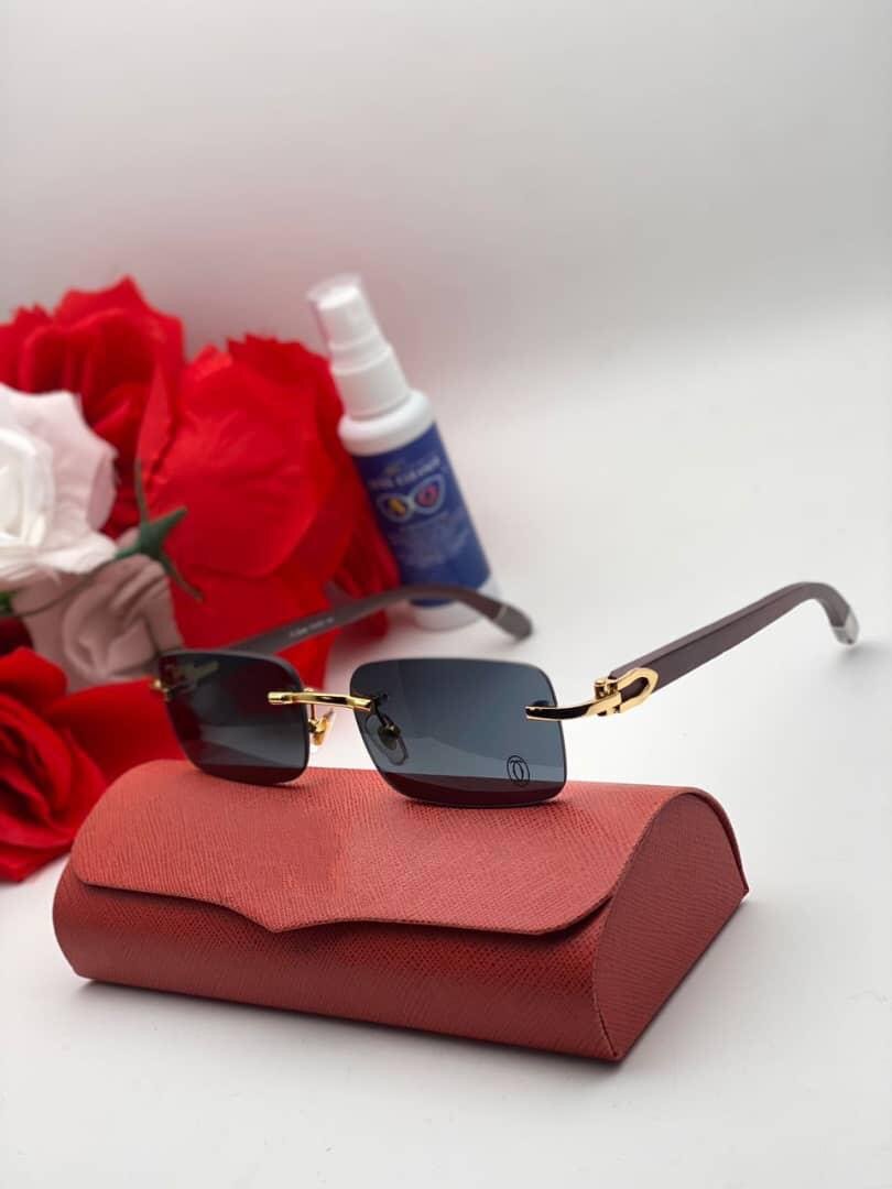 Lunettes de Soleil Élégantes