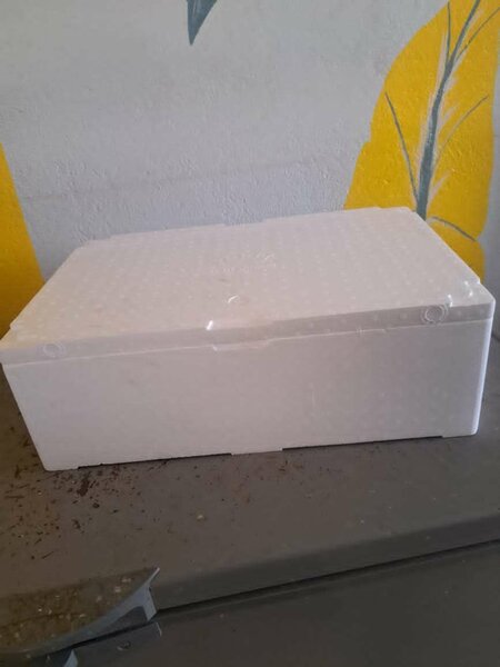 Boîte Isotherme en Polystyrène