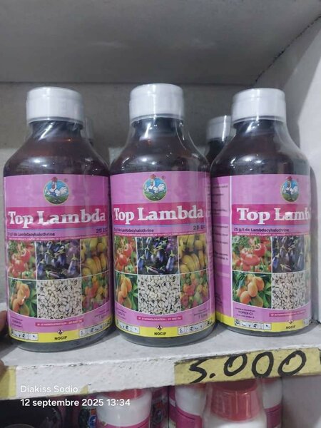 Insecticide Top Lambda 250ml