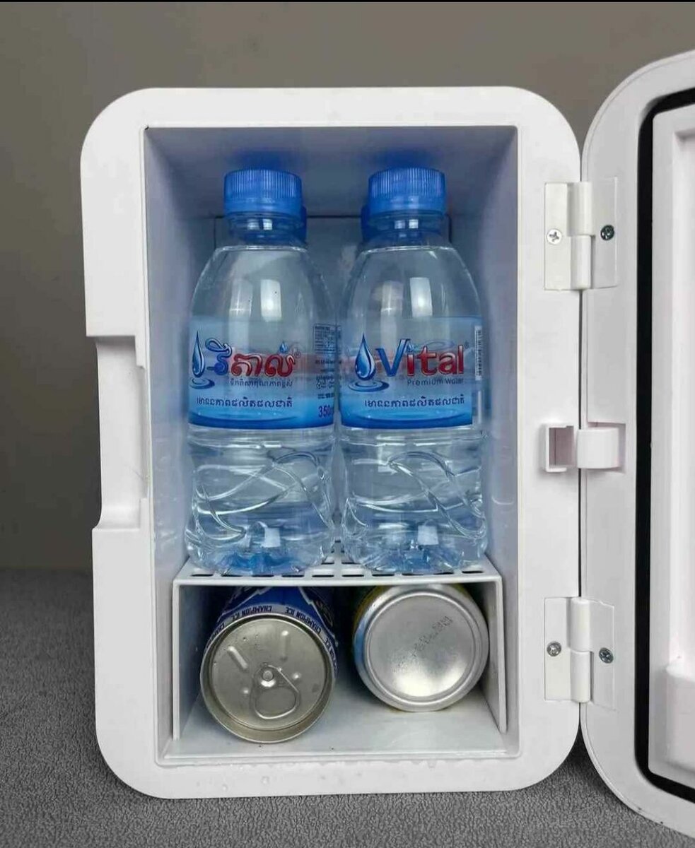 Mini réfrigérateur portable