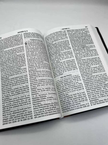 La Sainte Bible en Français