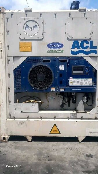 Conteneur réfrigéré ACL robuste