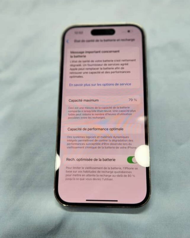 iPhone 13 Pro Max 256Go