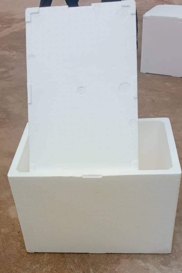 Glacière en polystyrène