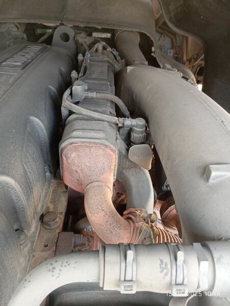 Camion DAF de Transport Puissant