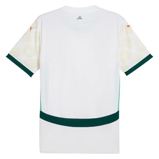 Maillot Équipe Côte d'Ivoire