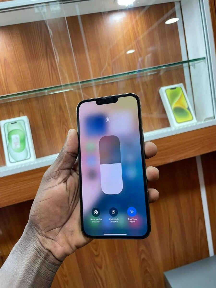 iPhone 13 Pro Max Vert Élégant