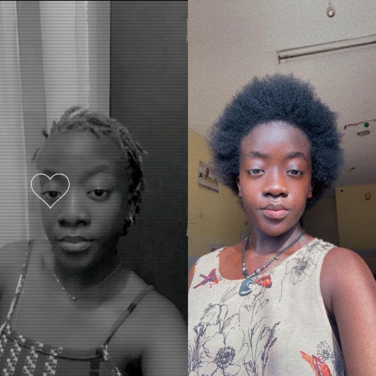 Huile acceleratrice de pousse