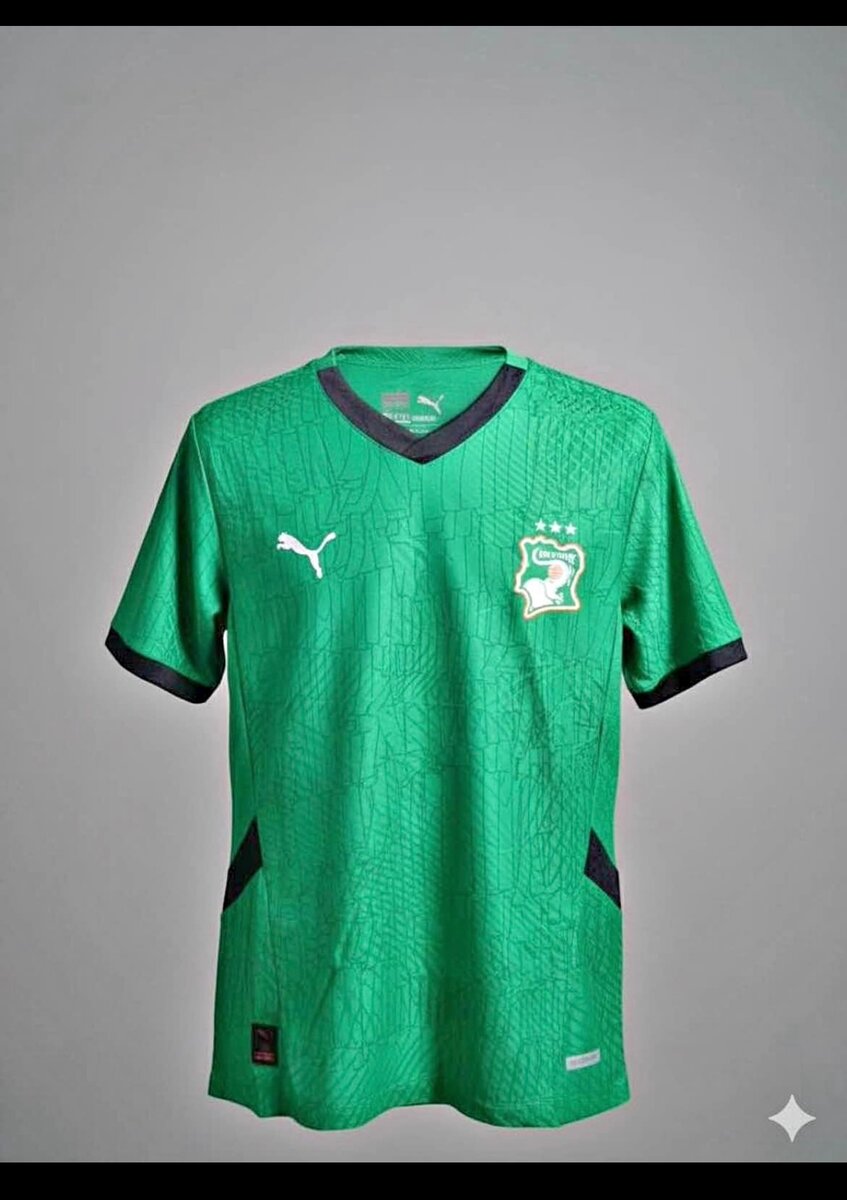 Maillot Puma Équipe de Football