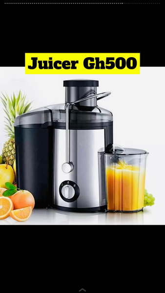 Fruit juicer