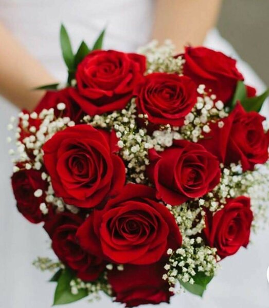 Bouquet de roses rouges