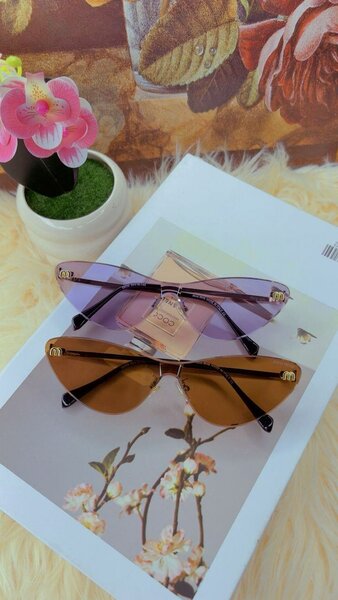 Lunettes de soleil élégantes