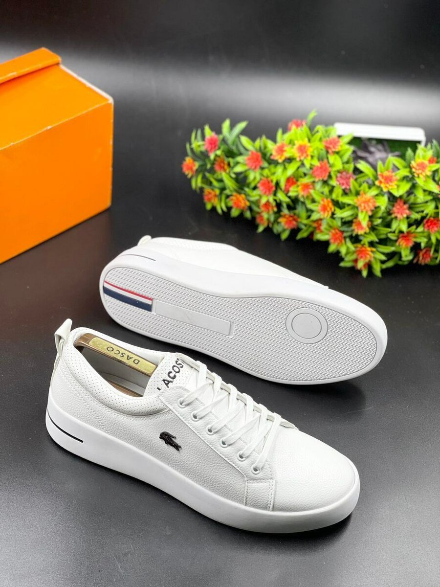 Lacoste shoes