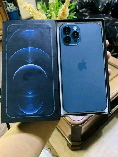 iPhone 12 Pro Max 256 Go Bleu