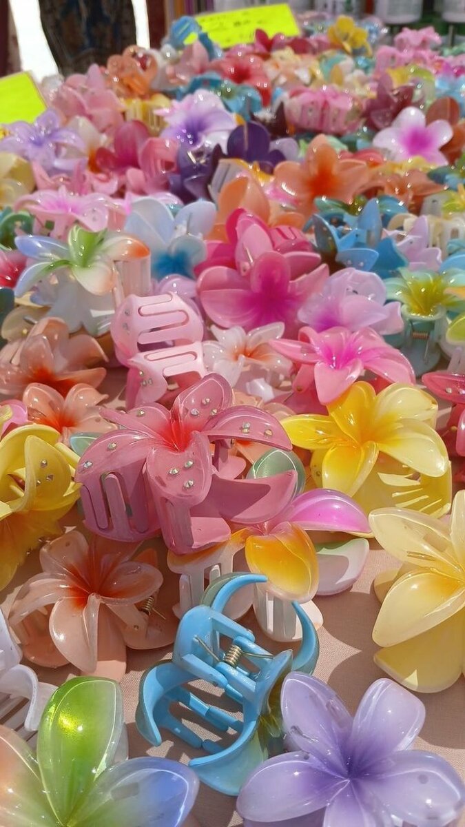 Pinces à cheveux fleurs colorées