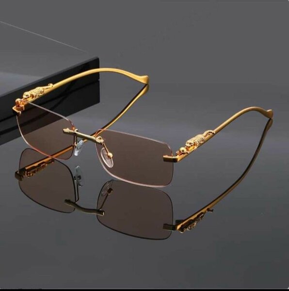 Lunettes de Soleil Élégantes