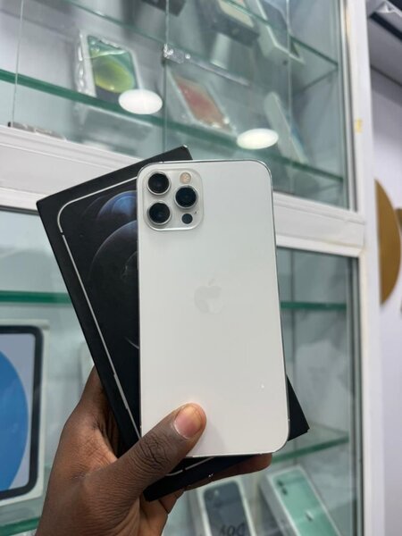 iPhone 12 Pro Max Blanc 256 Go