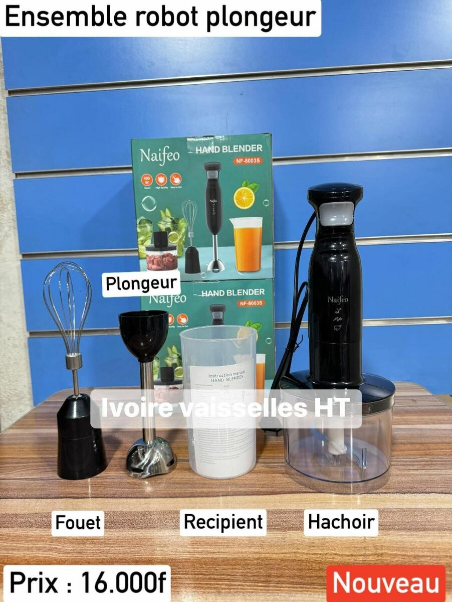 Naifeo Mixeur Plongeant Complet