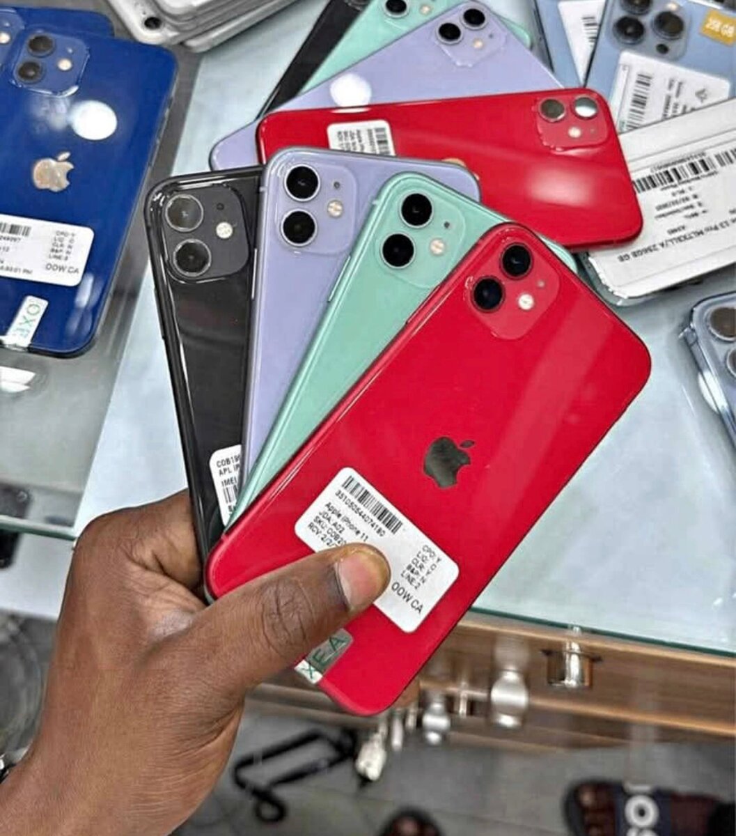 iPhone 11 Variété Couleurs
