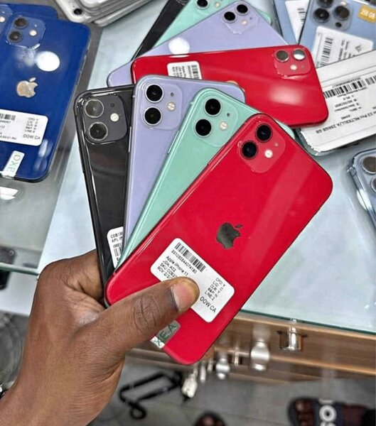iPhone 11 Variété Couleurs