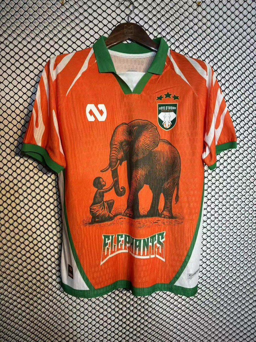 Maillot Équipe Éléphants