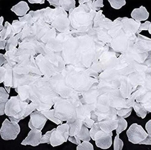 300 Pétales Artificielles